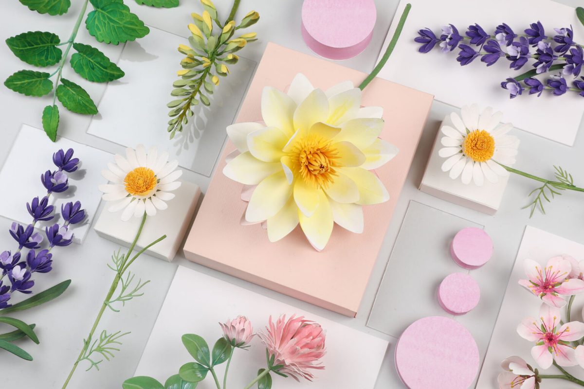 Diana Beltrán Herrera