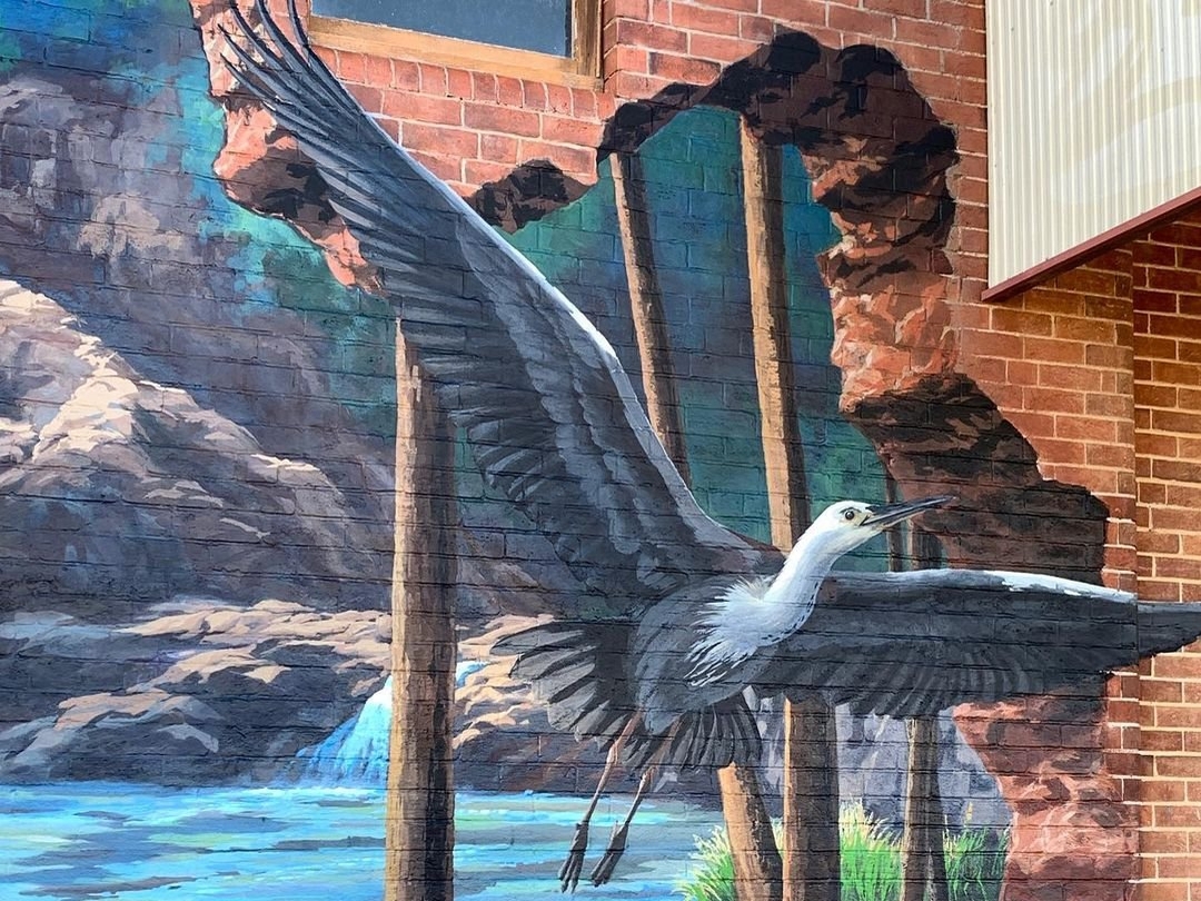 Jenny McCracken @ Barraba, Australia