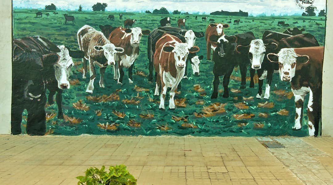 Julio Martin Navone Lier @ Mercedes, Uruguay