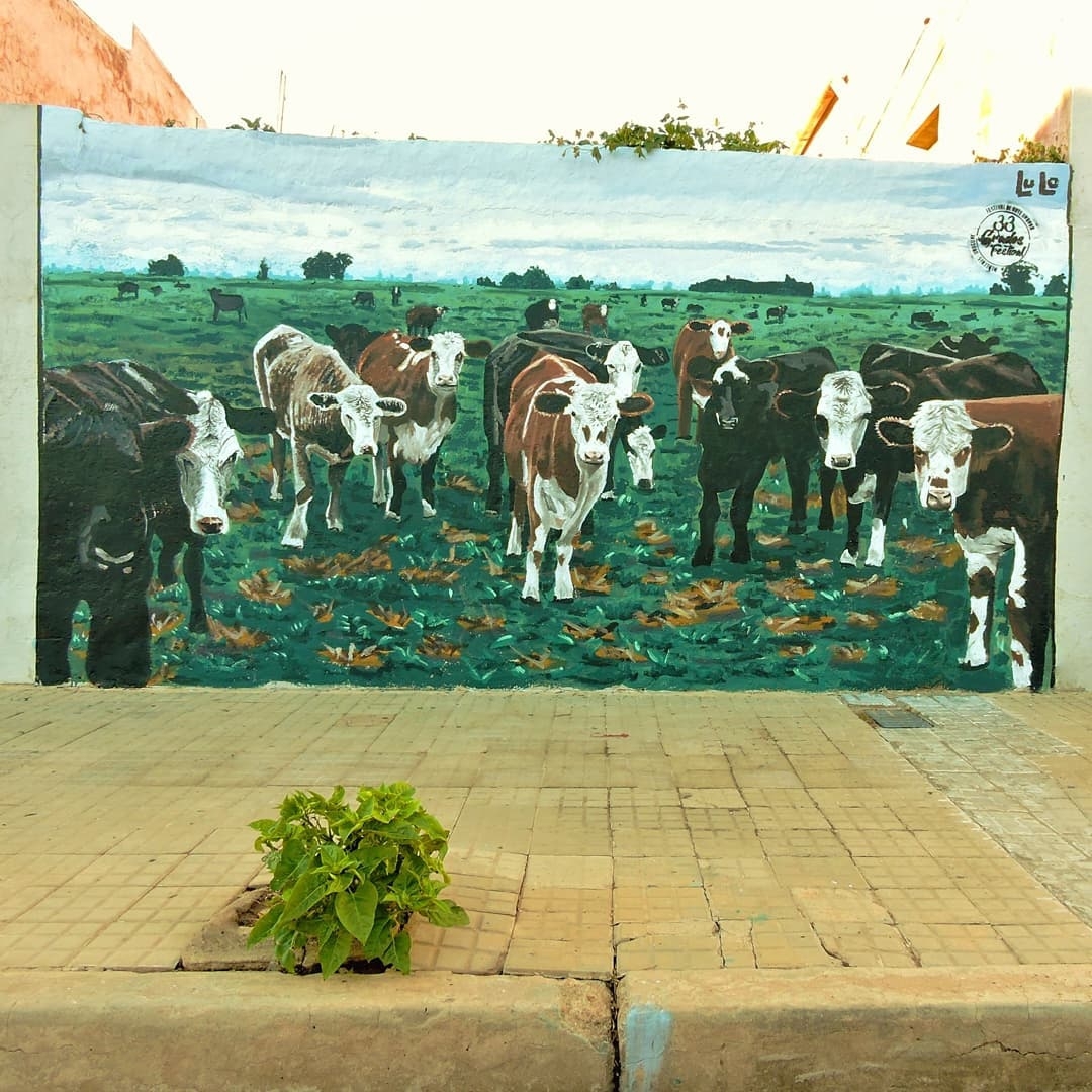 Julio Martin Navone Lier @ Mercedes, Uruguay