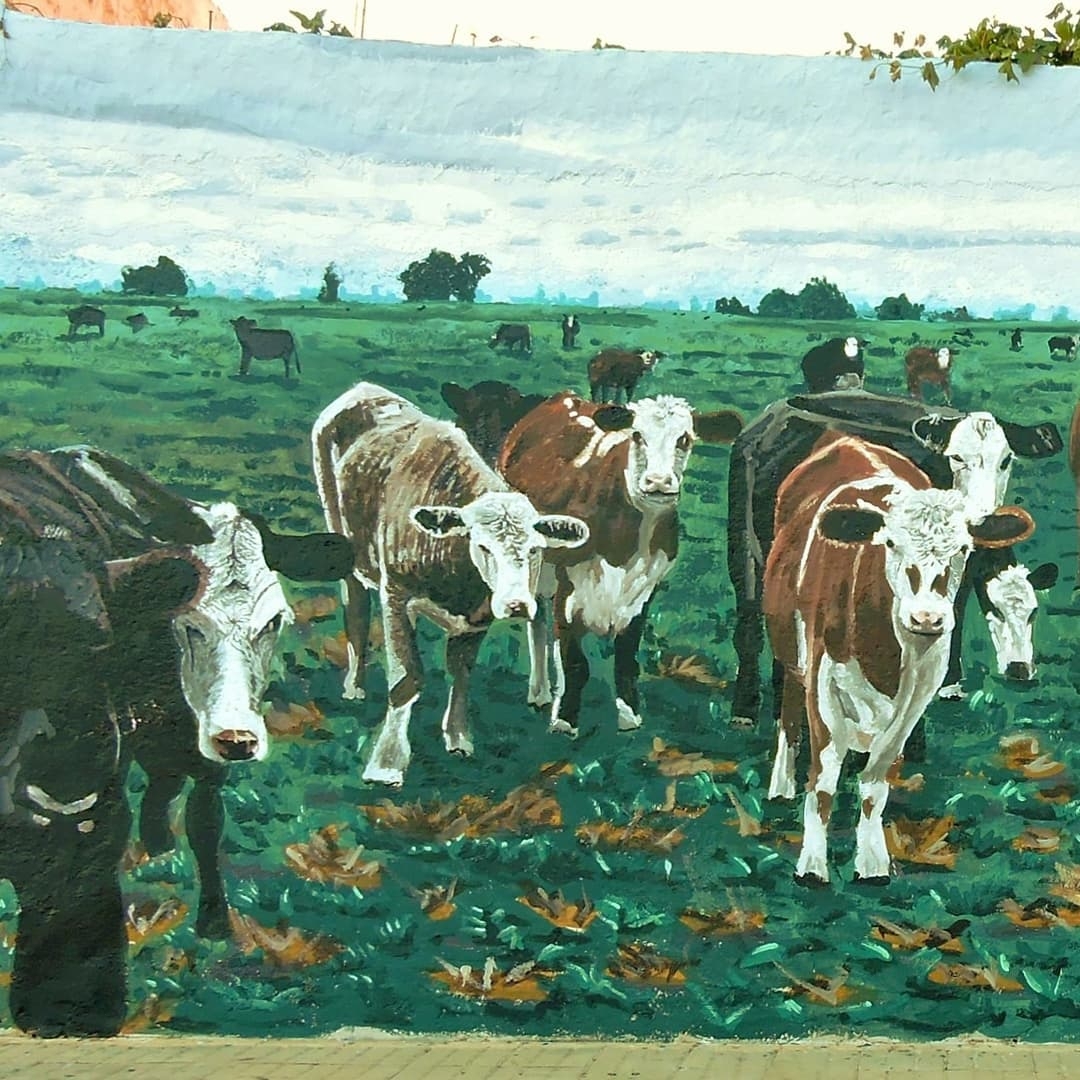 Julio Martin Navone Lier @ Mercedes, Uruguay