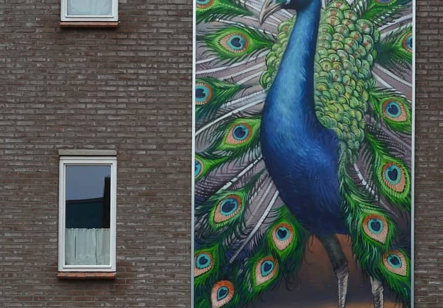 Michel Velt @ Groningen, Netherlands