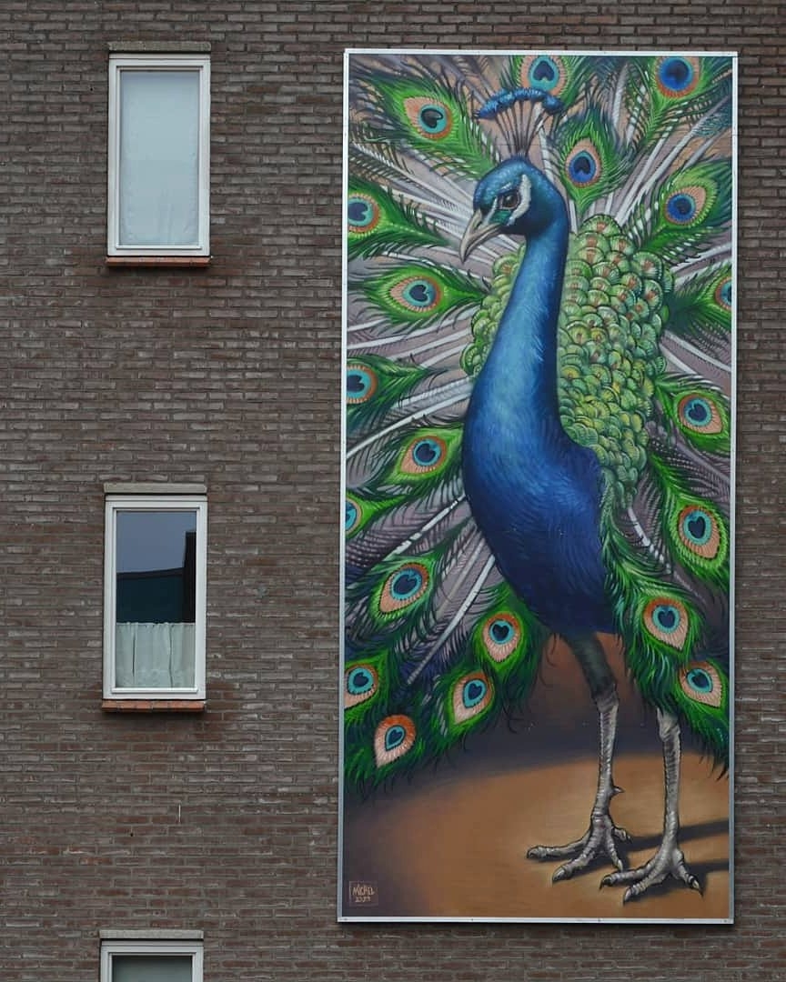 Michel Velt @ Groningen, Netherlands