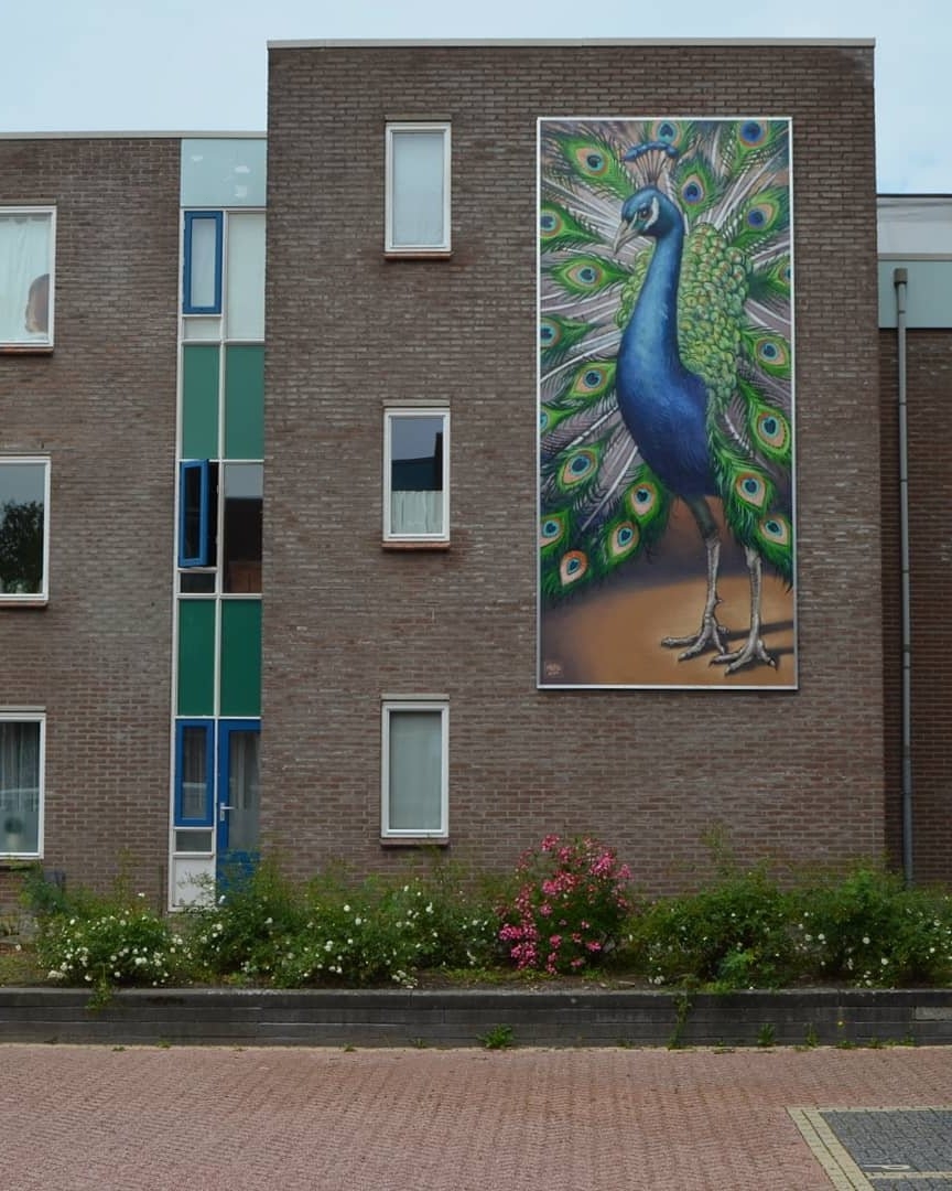 Michel Velt @ Groningen, Netherlands