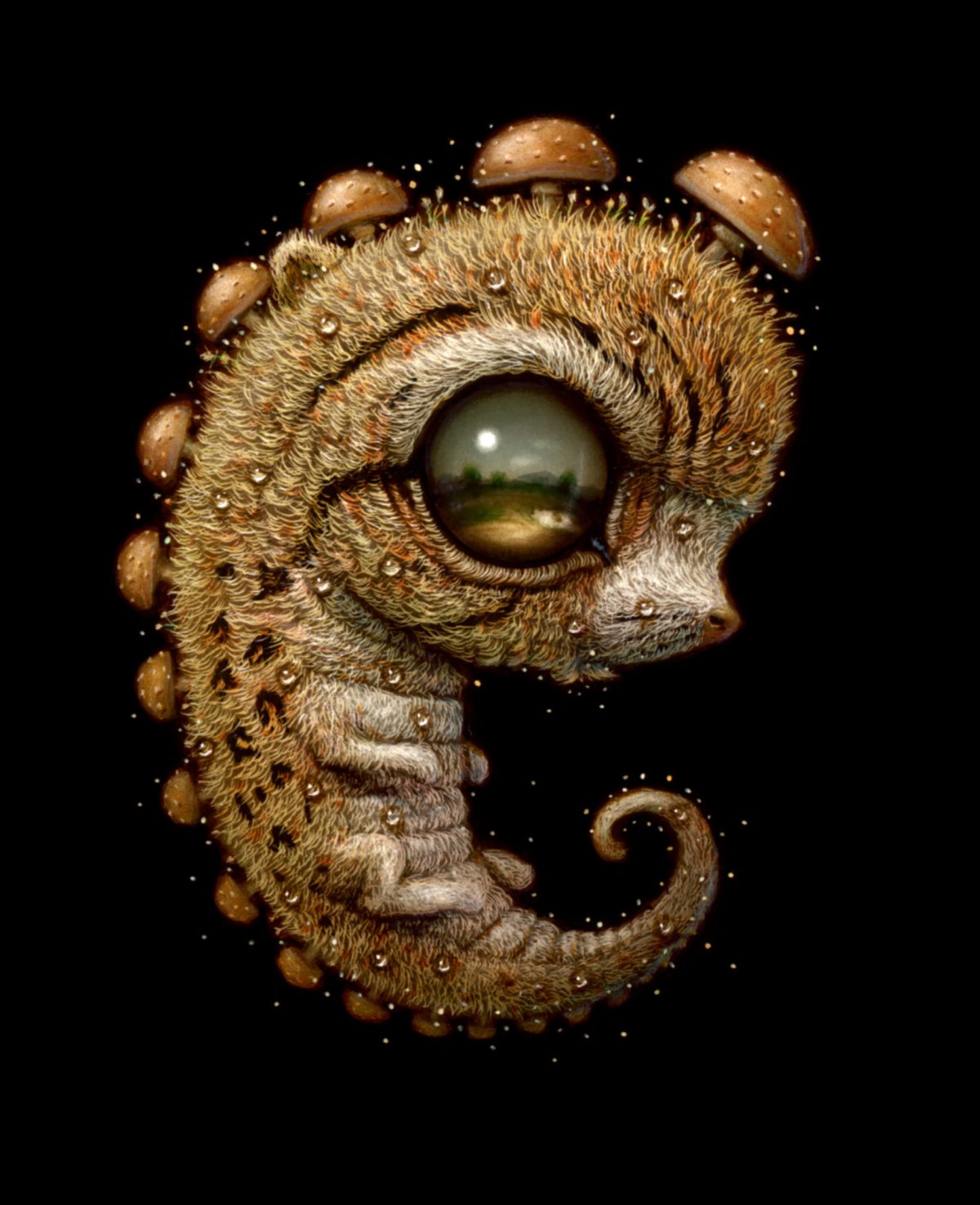Naoto Hattori
