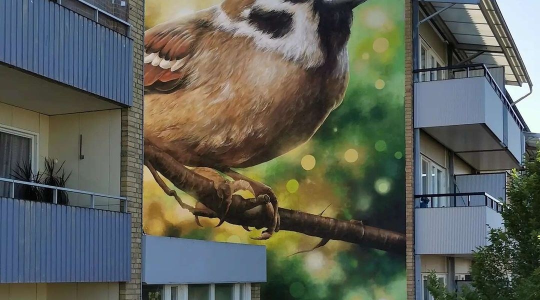 Sagie @ Skoghall, Sweden