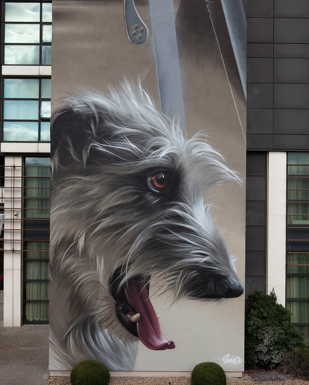 Smug One @ Dundalk, Ireland