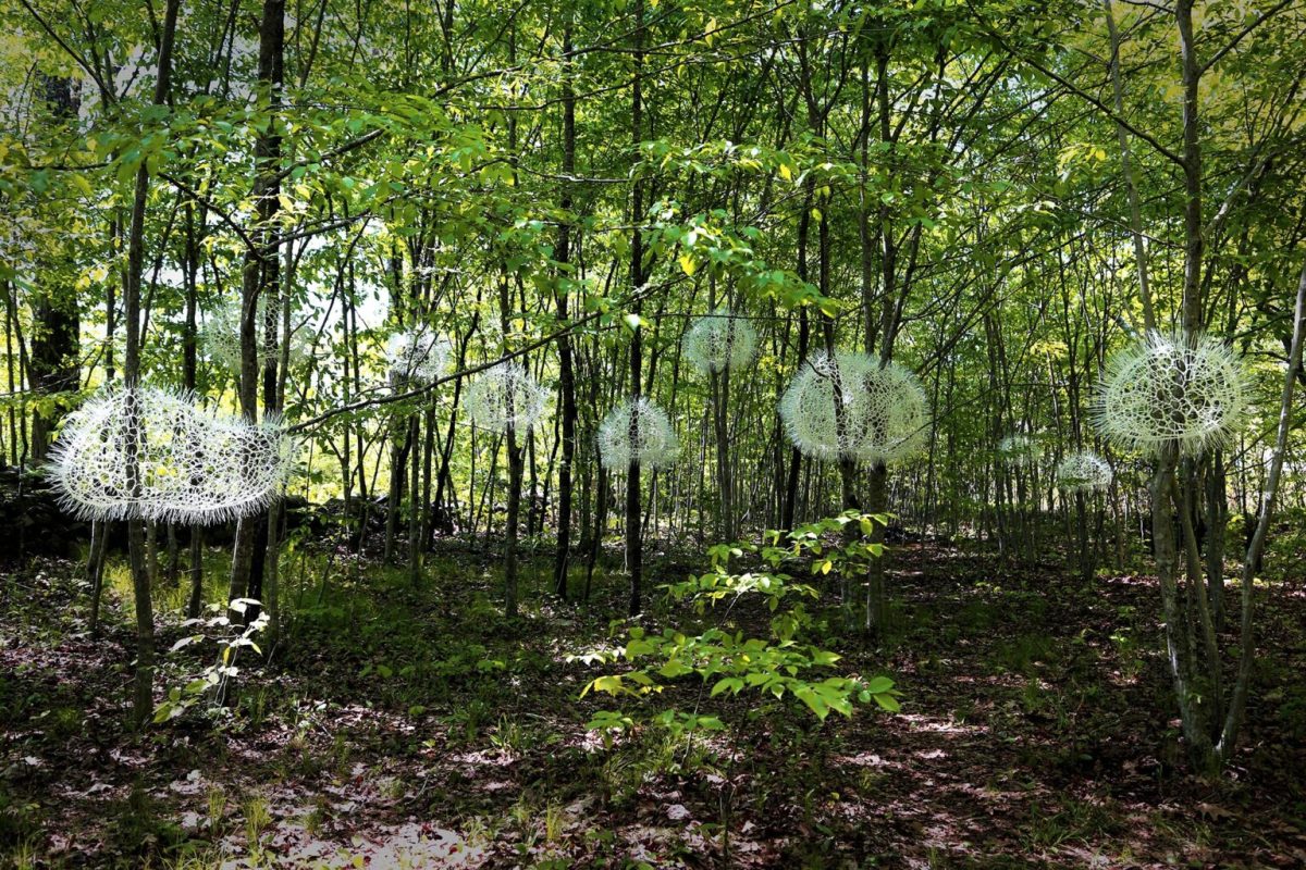 "Where the Wind Stays" (2021)by Sui Park