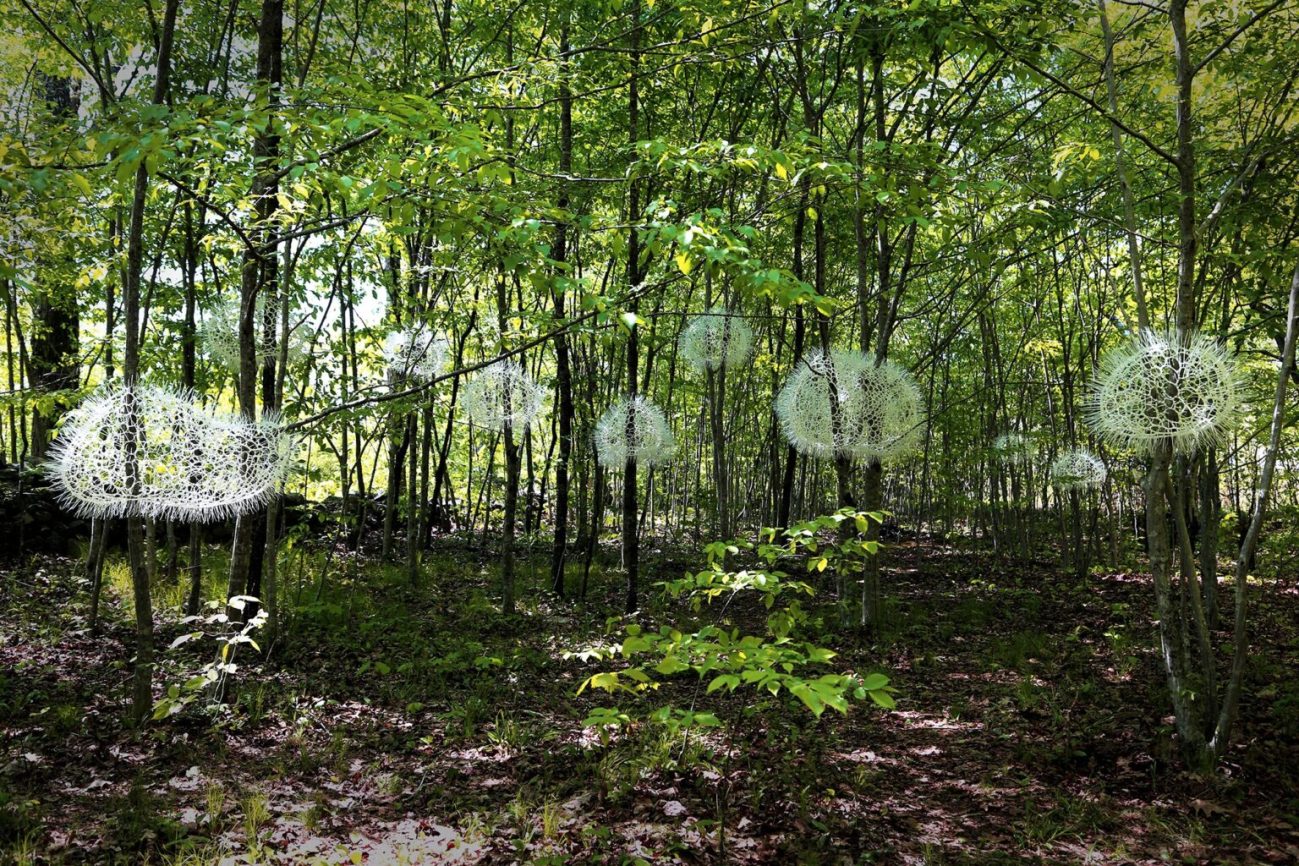 "Where the Wind Stays" (2021)by Sui Park