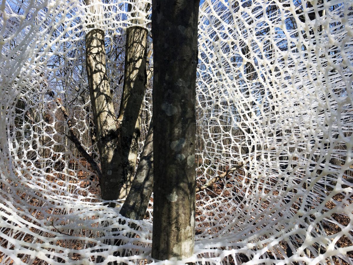 "Where the Wind Stays" (2021) by Sui Park