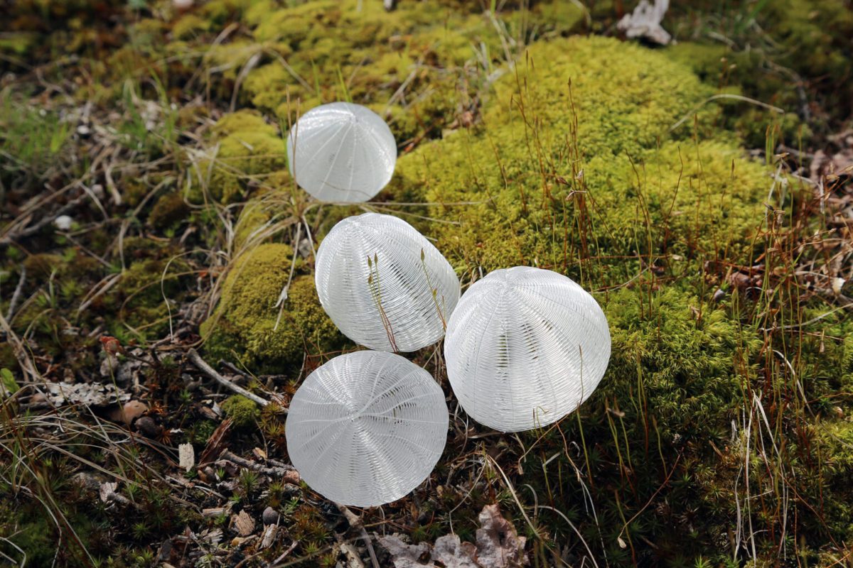 “Experiment (Untitled)” (2021) by Sui Park