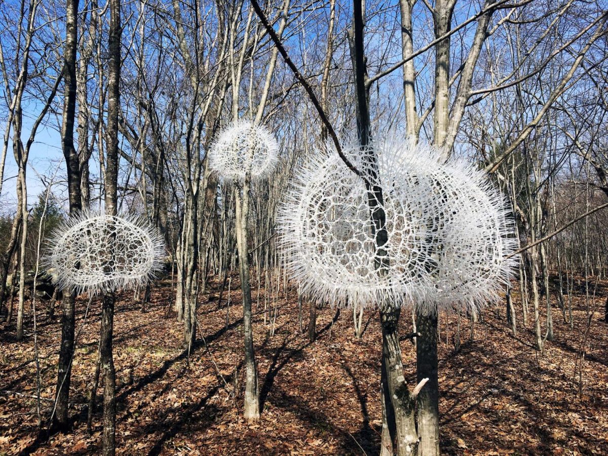 "Where the Wind Stays" (2021) by Sui Park