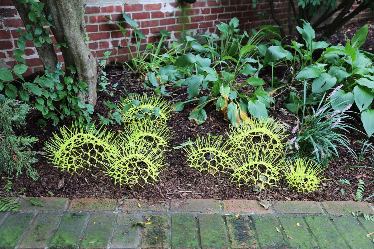 “Moss” (2018) by Sui Park