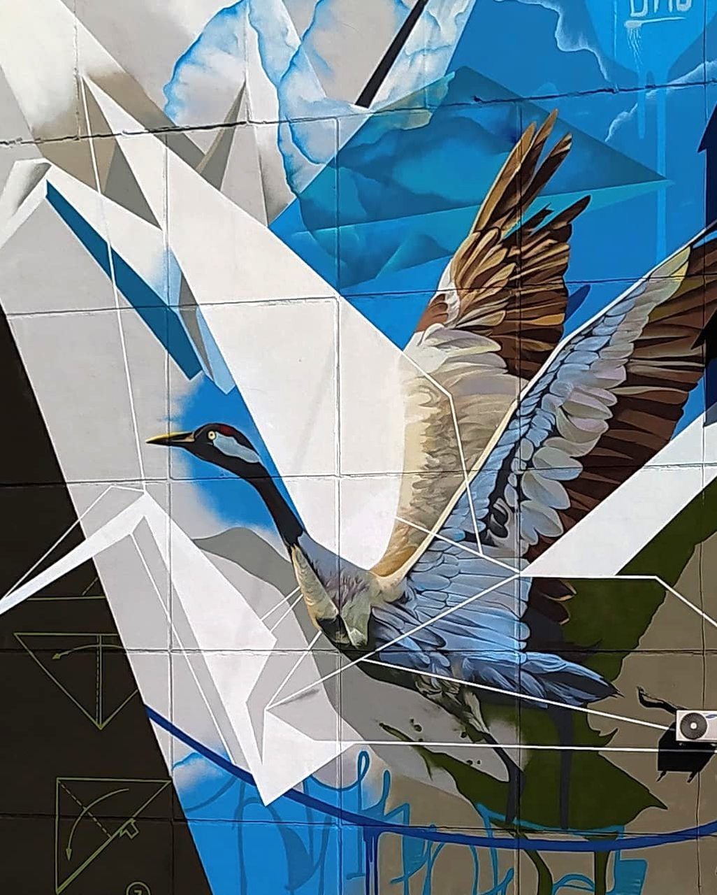 Vismut Tlyashev @ Magnitogorsk, Russia