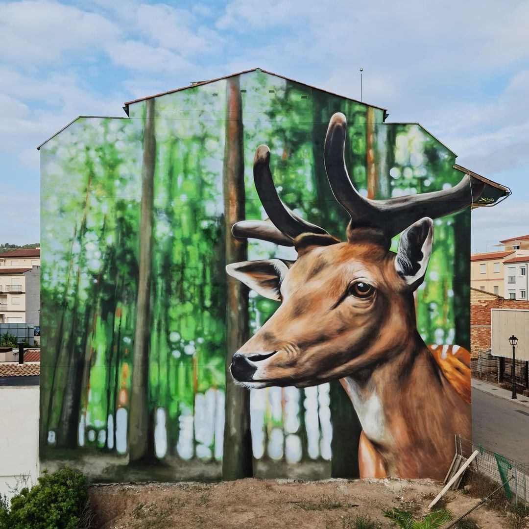 Xolaka @ Geldo, Spain