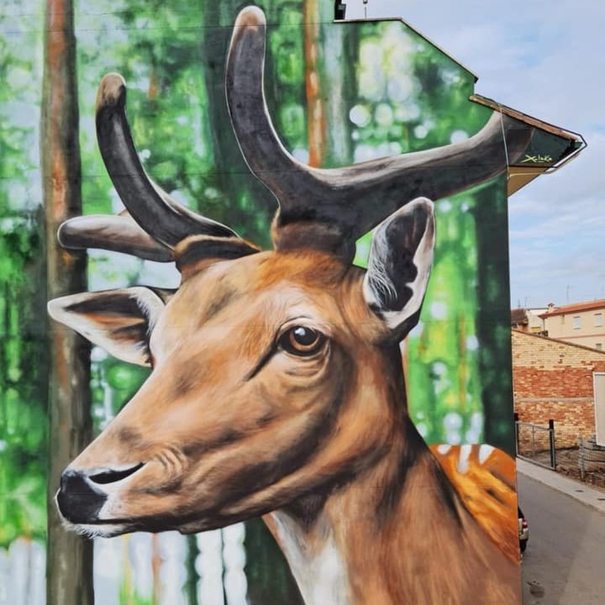 Xolaka @ Geldo, Spain