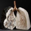 Debra Baxter. “Catch your Breath” (2021), alabaster, bronze, and druzy snow chalcedony, 10 x 10 x 5 inches