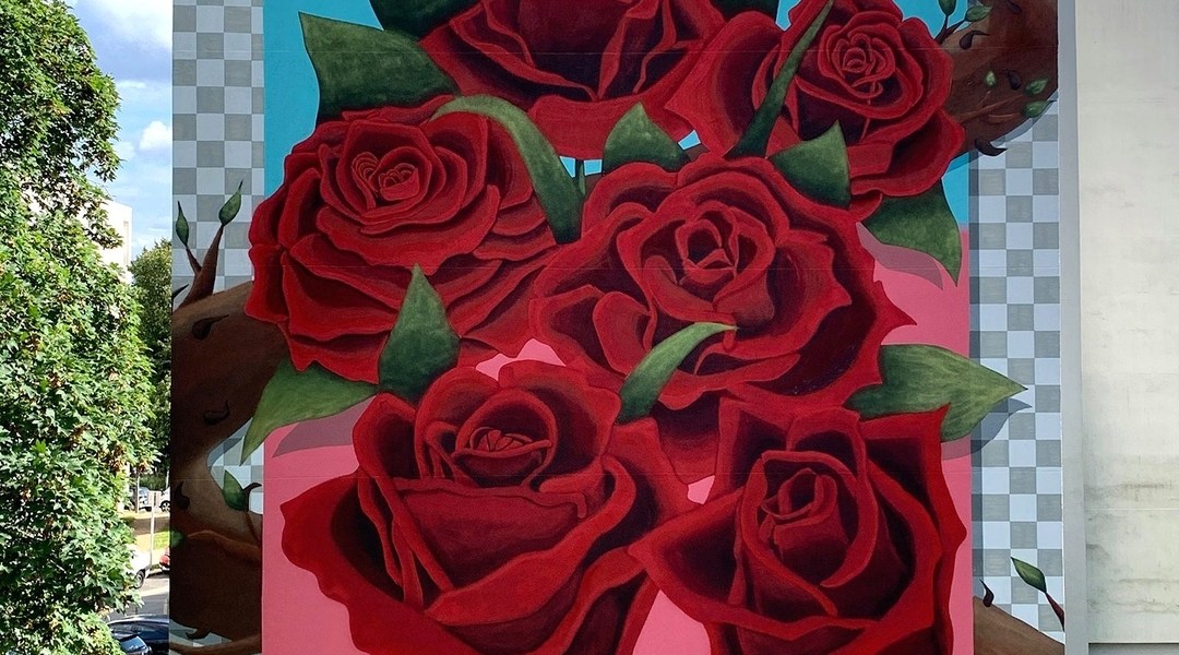 Dingo Loco @ Villeneuve-Saint-Georges, France