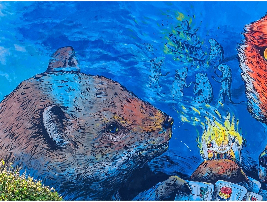 Erica il cane @ Vallà, Italy