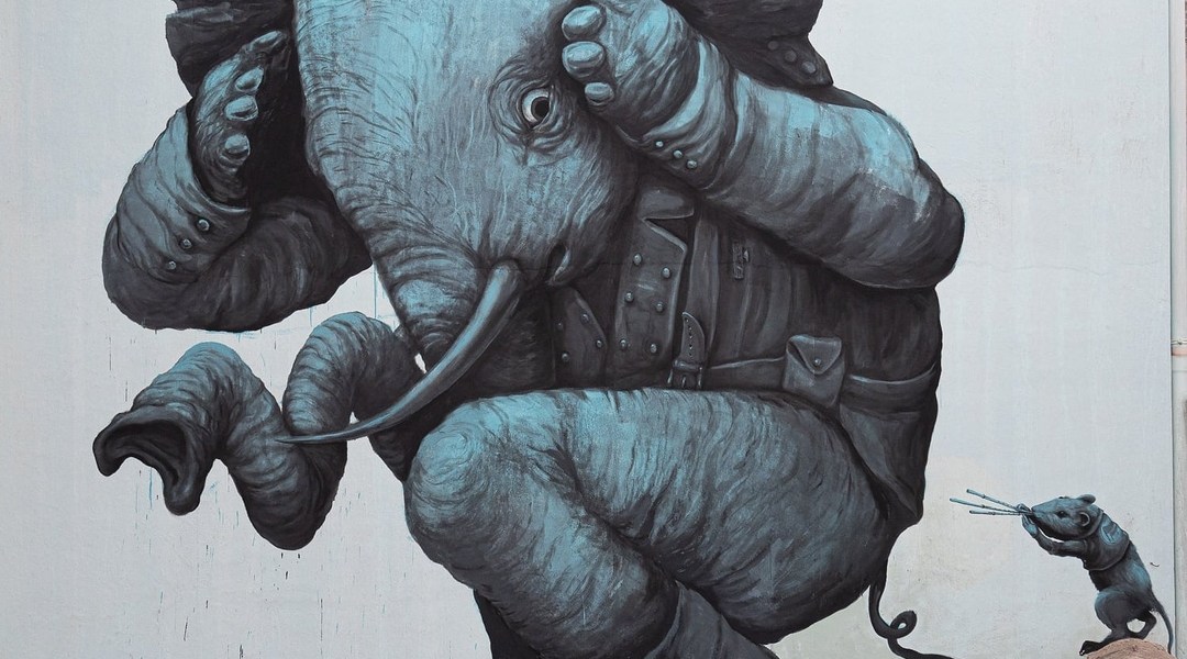 Ericailcane @ Bari Sardo, Italy