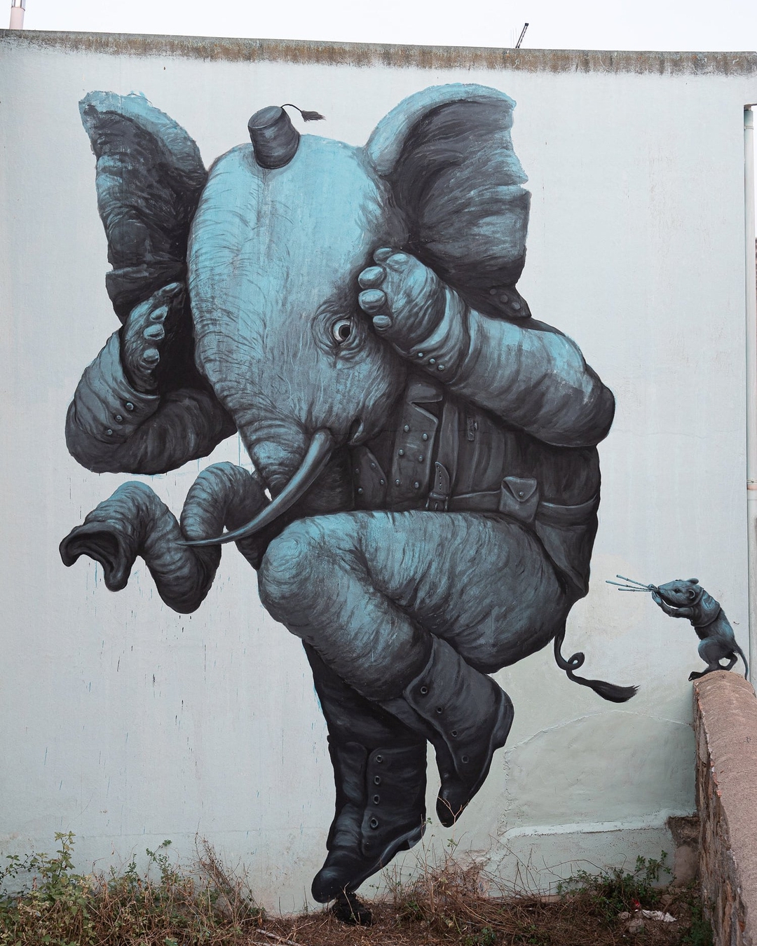 Ericailcane @ Bari Sardo, Italy