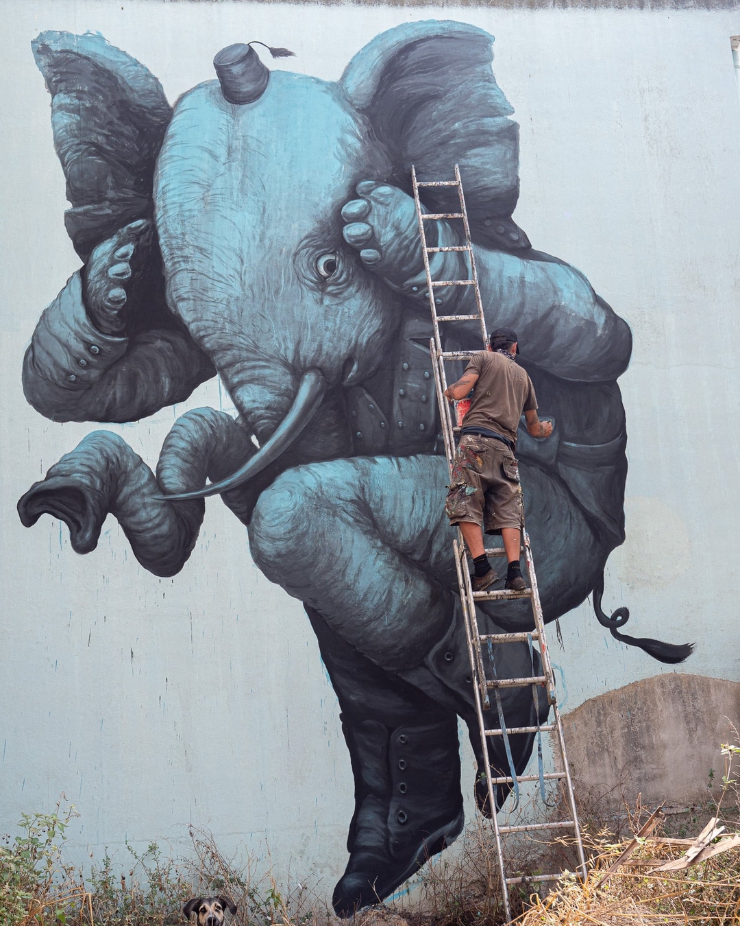Ericailcane @ Bari Sardo, Italy