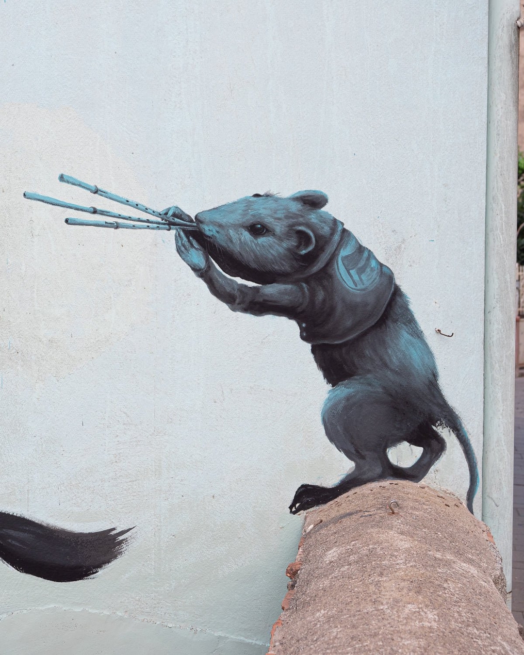 Ericailcane @ Bari Sardo, Italy