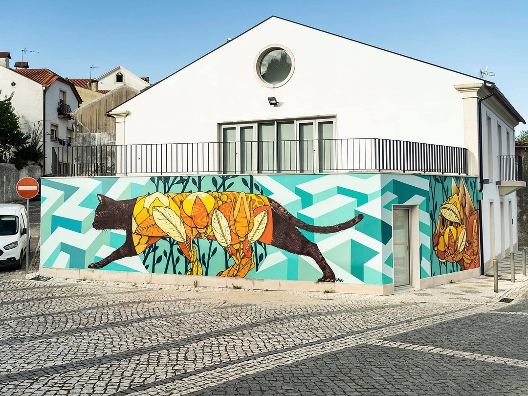 Gonçalo Ribeiro @ Miranda do Corvo, Portugal