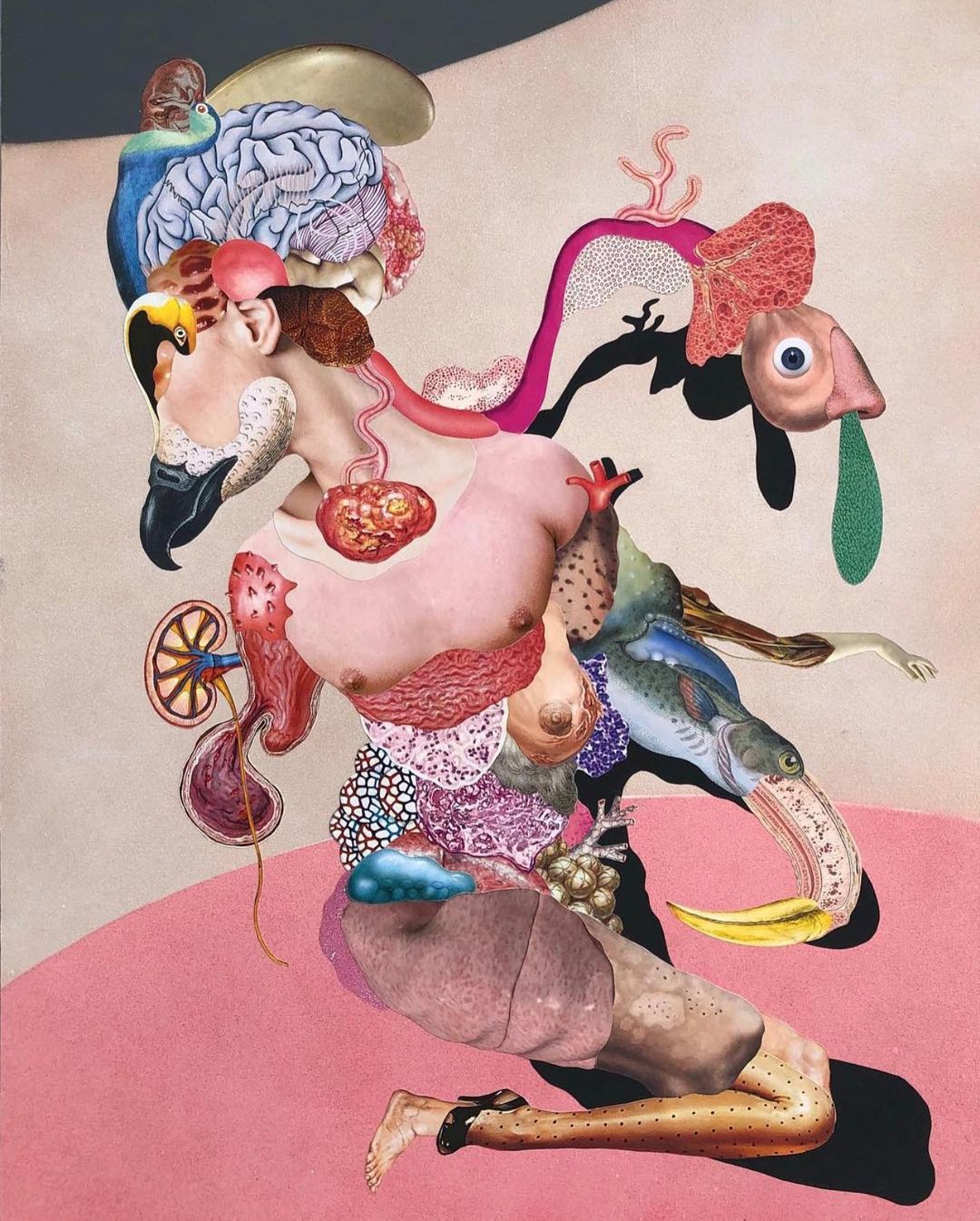 Collage by John Vochatzer