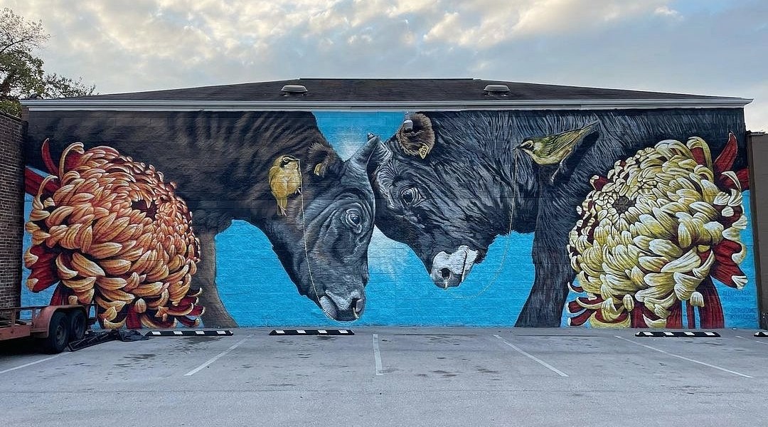 Justin Suarez + Alexandrea Pangburn @ Lexington, USA