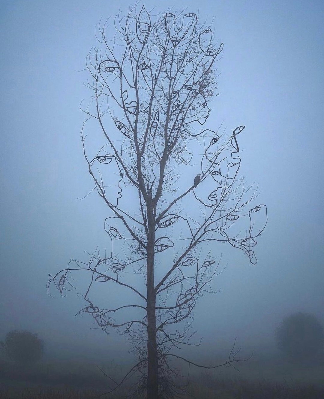 Shira Barzilay aka Koketit