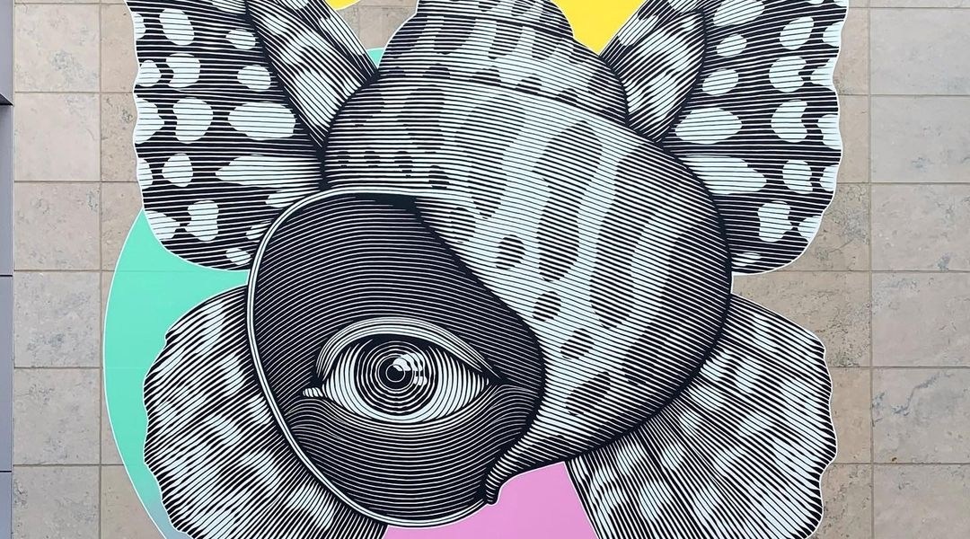 Nicolas Alfalfa @ Toronto, Canada