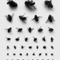 Check your eyesight by Rinat Voligamsi
