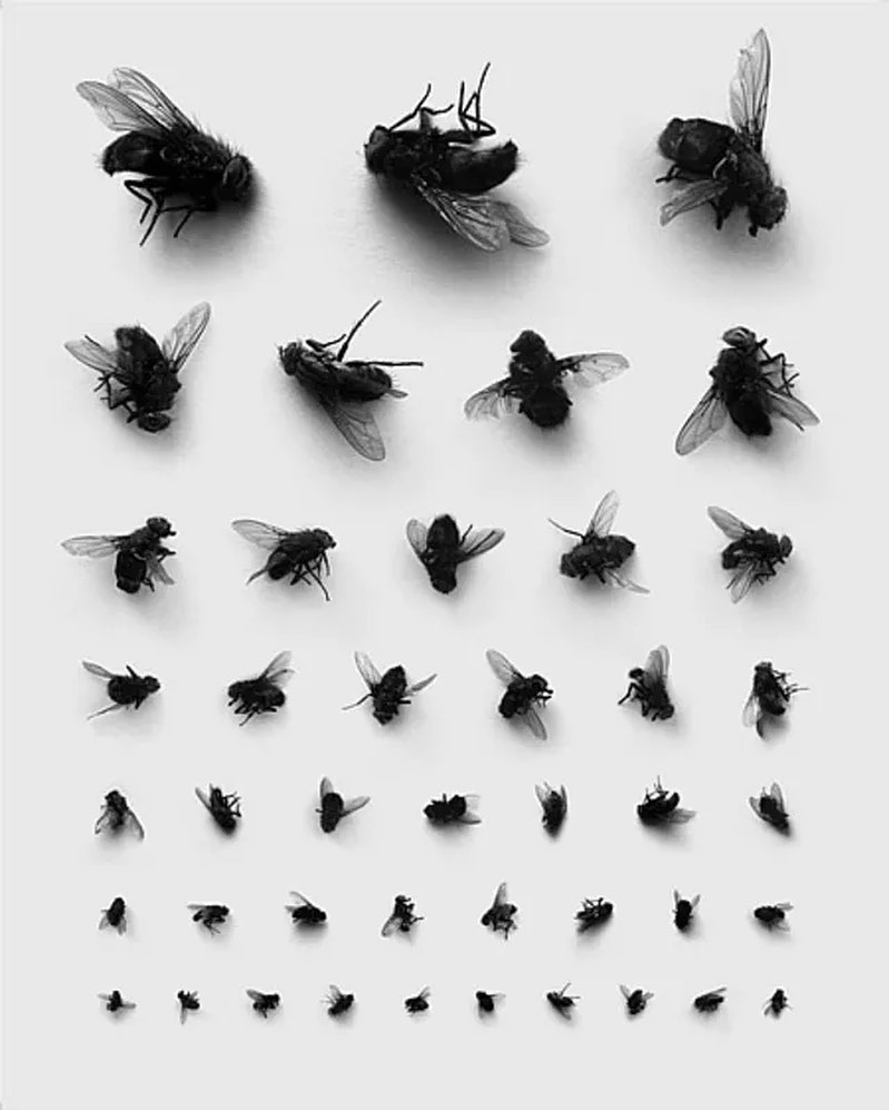 Check your eyesight by Rinat Voligamsi