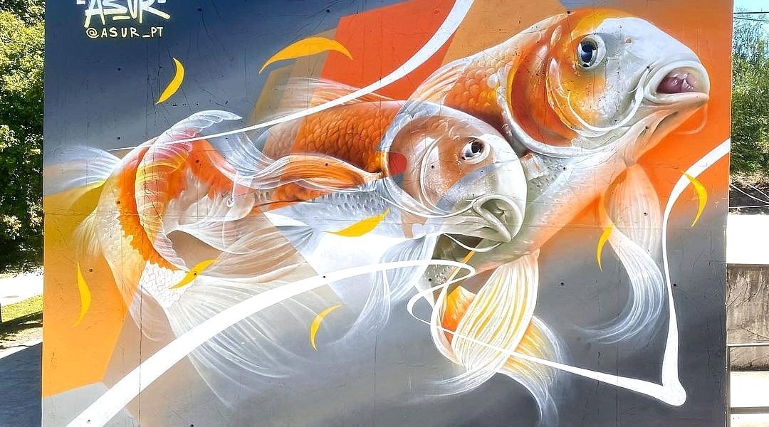 Asur @ Fafe, Portugal