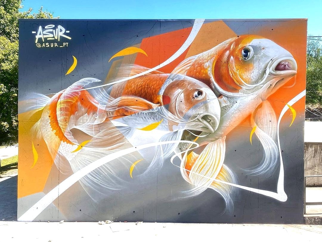 Asur @ Fafe, Portugal