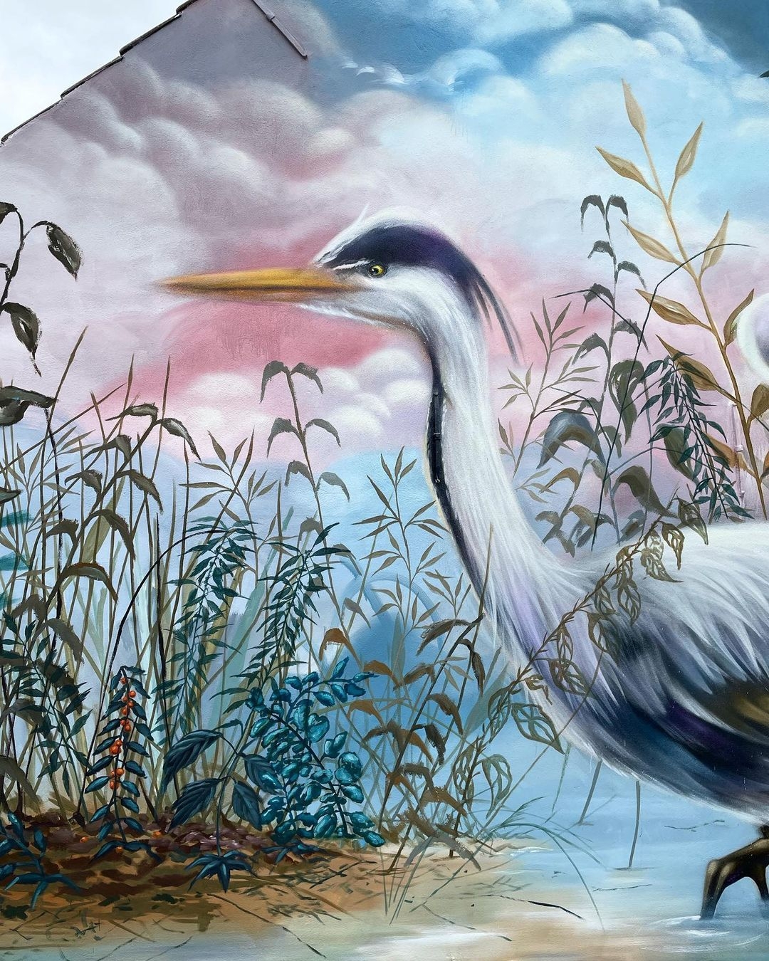 Collin van der Sluijs @ Spiennes, Belgium