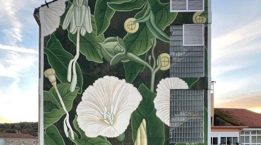 Doa oa @ Ferreira de Pantón, Portugal