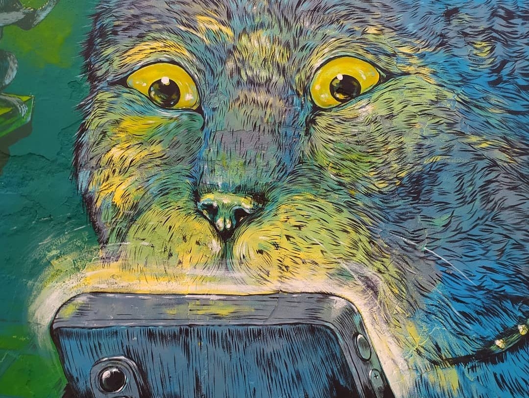 Ericailcane @ Stornara, Italy