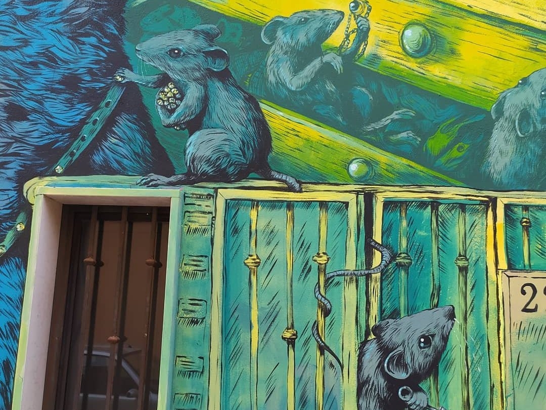 Ericailcane @ Stornara, Italy