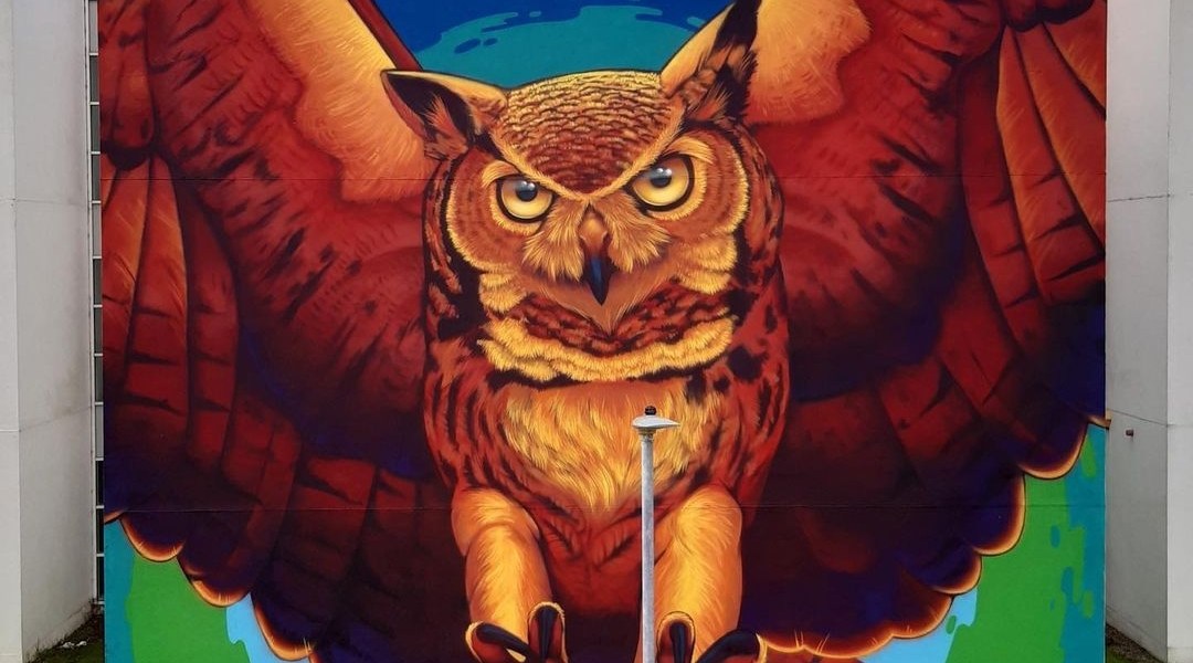 FRIZ @ Sligo, Ireland