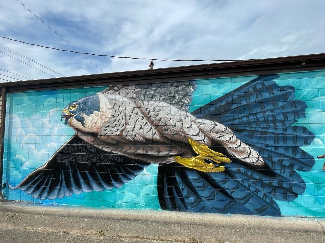 Justin Suarez @ Rockford, USA