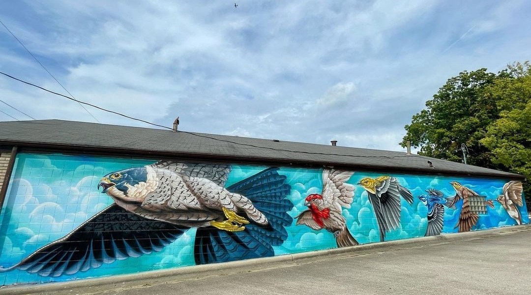 Justin Suarez @ Rockford, USA