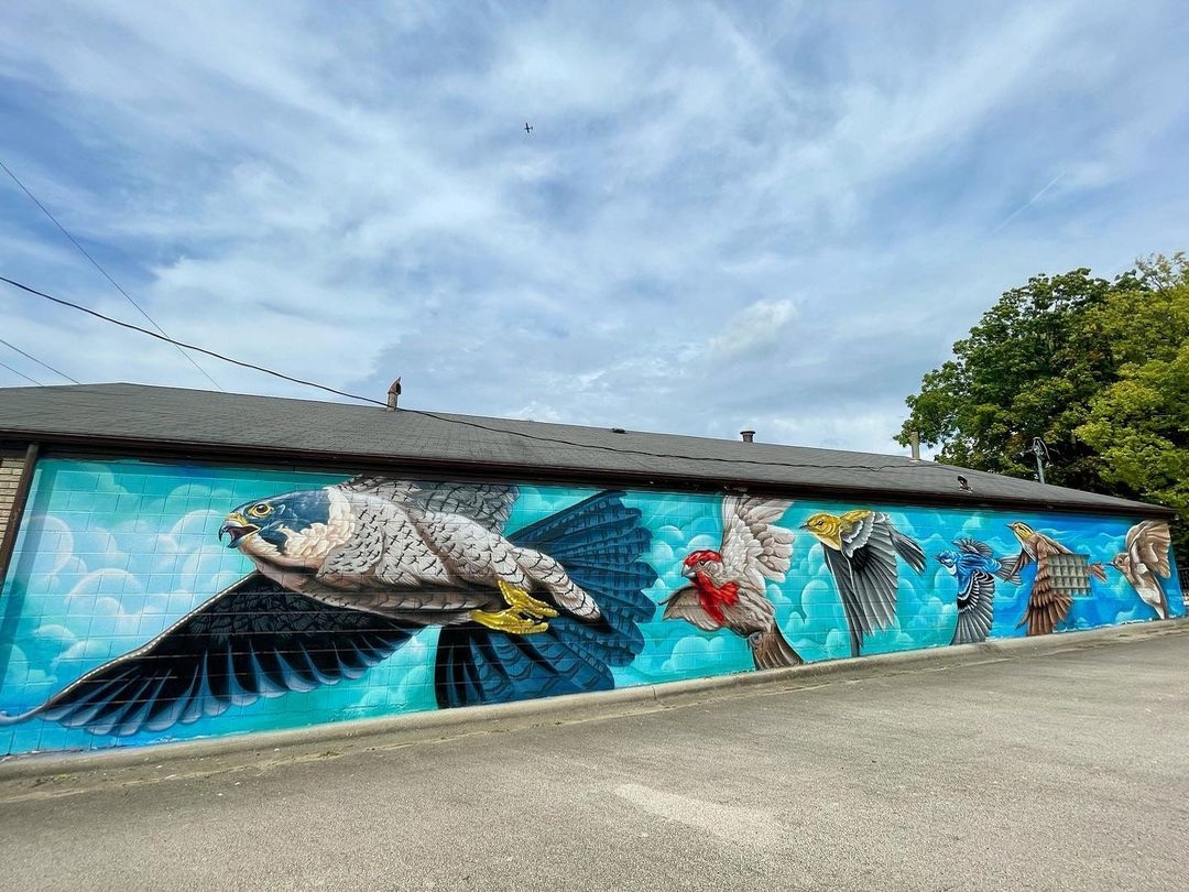 Justin Suarez @ Rockford, USA