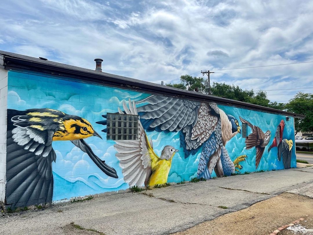 Justin Suarez @ Rockford, USA