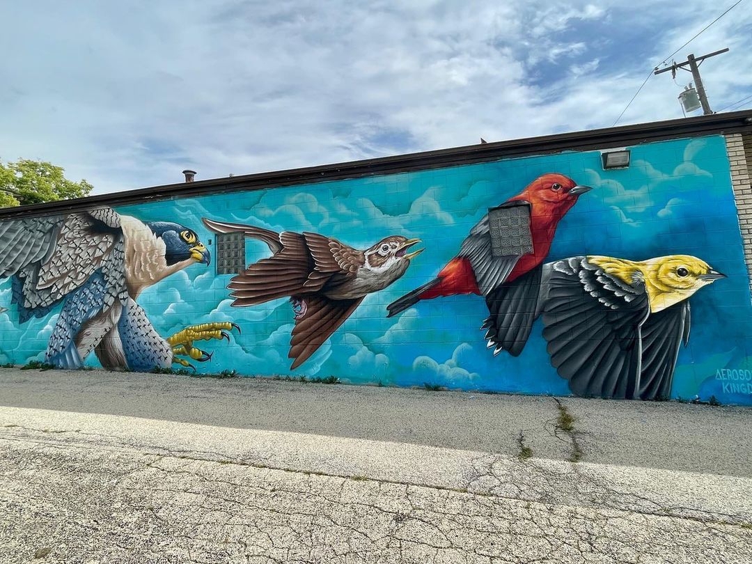 Justin Suarez @ Rockford, USA