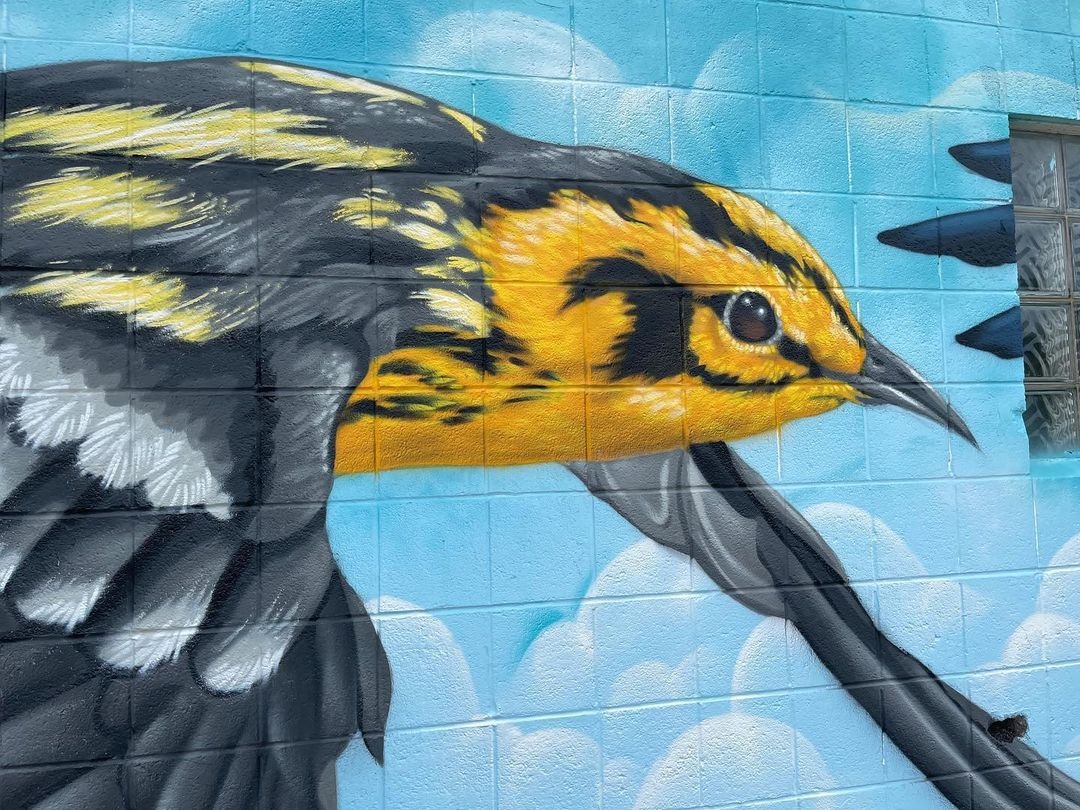 Justin Suarez @ Rockford, USA