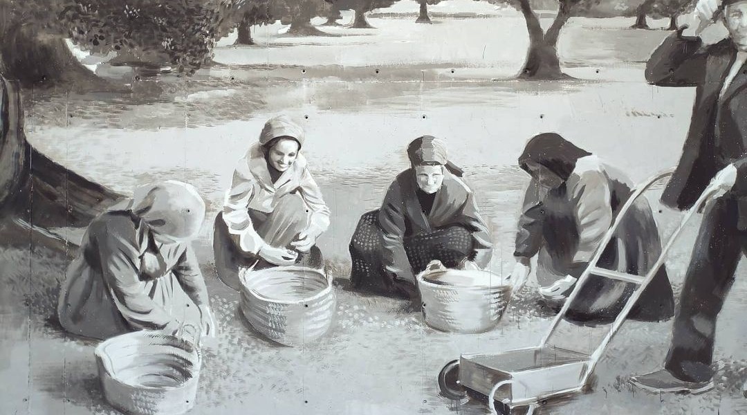 Miquel Wert @ Mas de Barberans, Spain