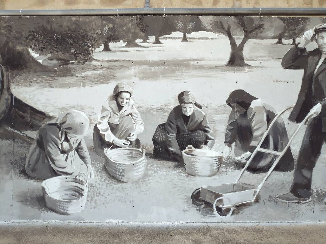 Miquel Wert @ Mas de Barberans, Spain