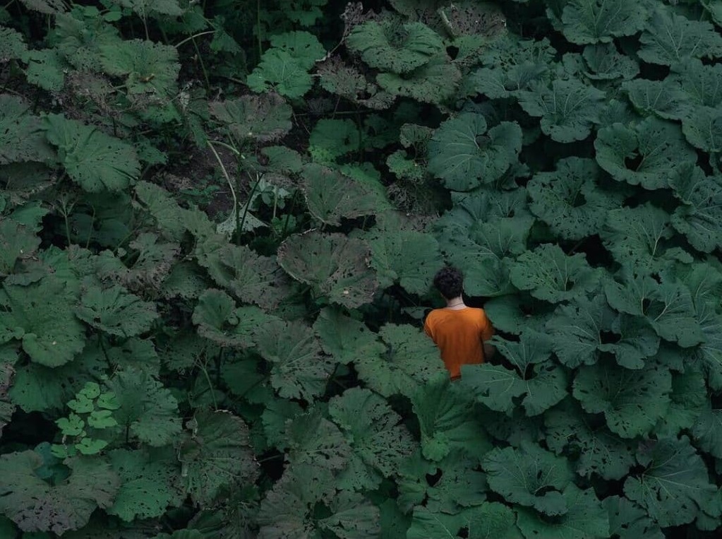 Natalia Kamenetskaya